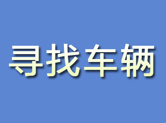 成武寻找车辆