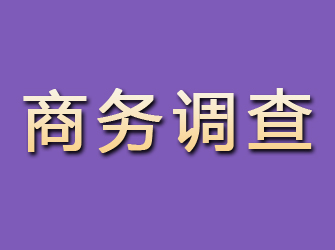 成武商务调查